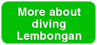 More about diving in Lembongan