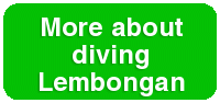 More-Lembongan_button.gif