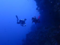 Exploring Bunaken's wall dives