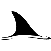 whale shark fin